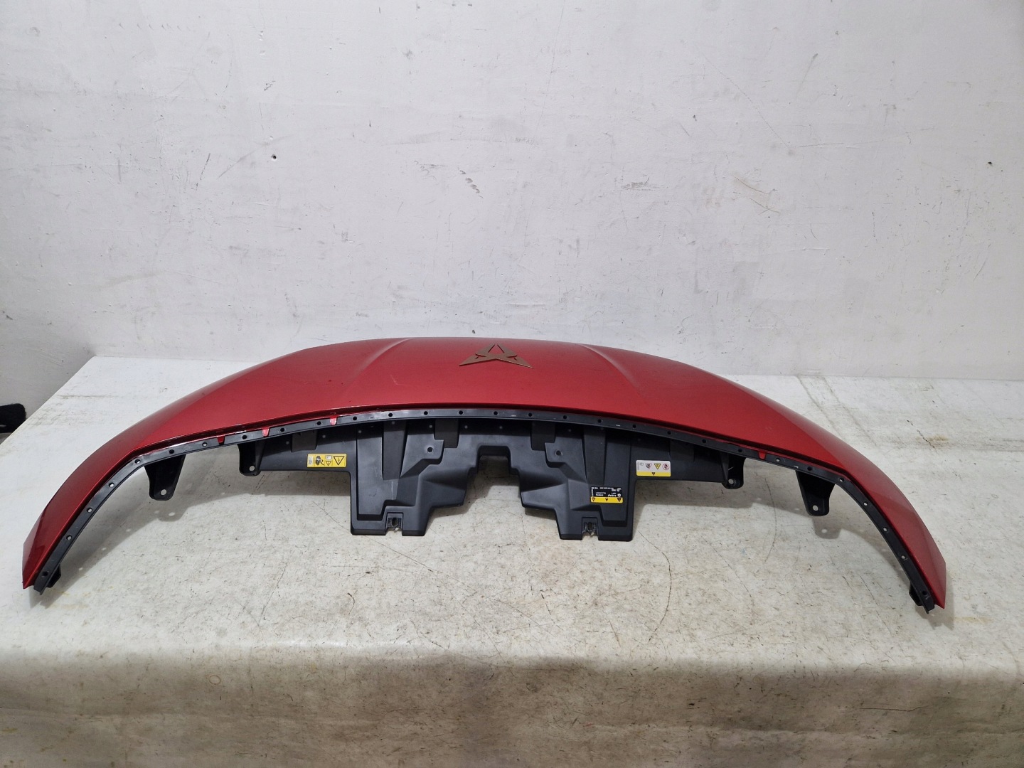 CUPRA BORN Parte superiore Paraurti Griglia 10E807217H
