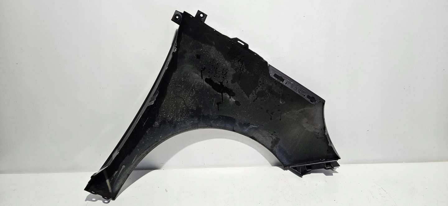 fender left front RENAULT SCENIC III LIFT ORYG