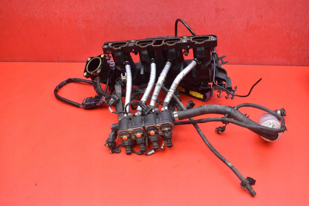 Complète Câblage Gaz LPG 25194624 LANDI RENZO