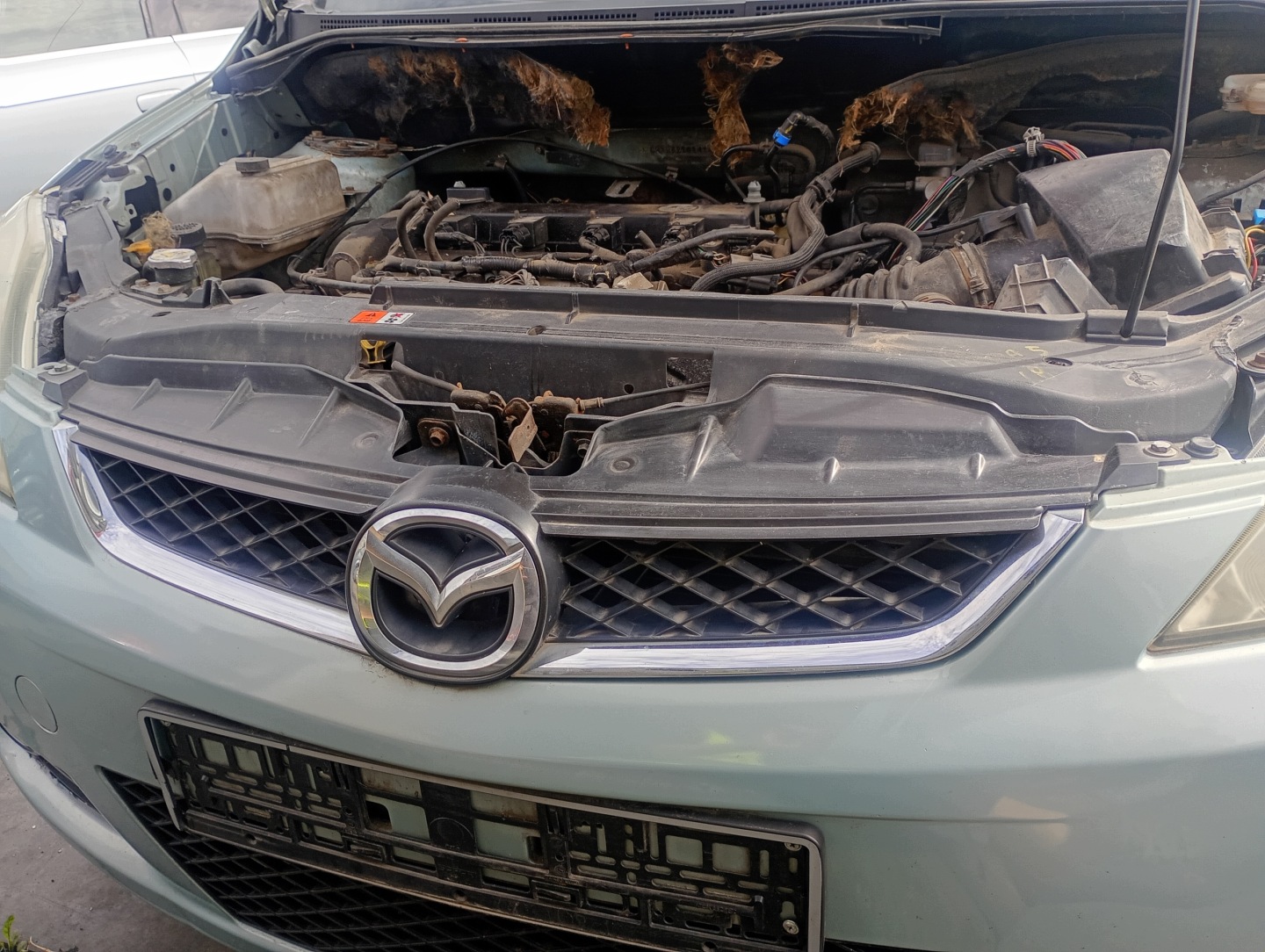 Grill Grill des Kühlers Mazda 5 V 05-10