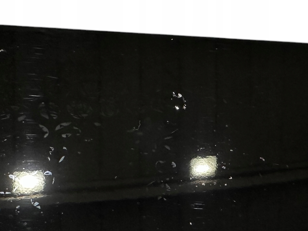 BMW XM G09 cap moulding panel door front RH 51219851024