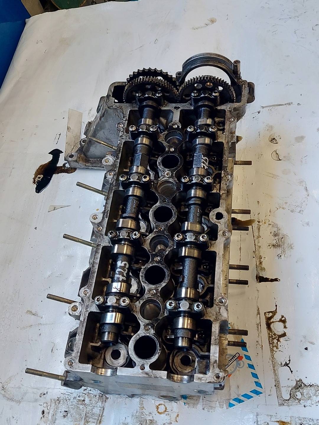 head. BMW E46 M47T 2.0 TD 77858769