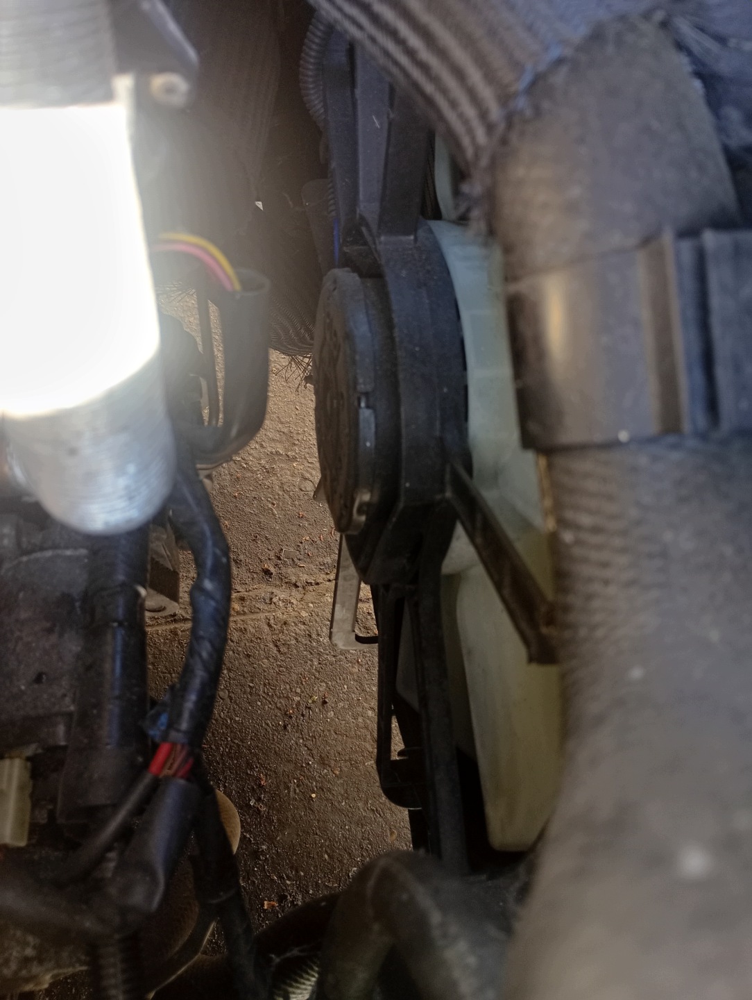 lüfter des motors des kühlers Mazda 5 V 05-10 2.0 CD