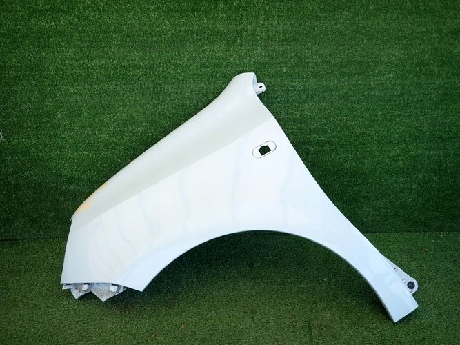 RENAULT TWONGO III 14- fender left front front