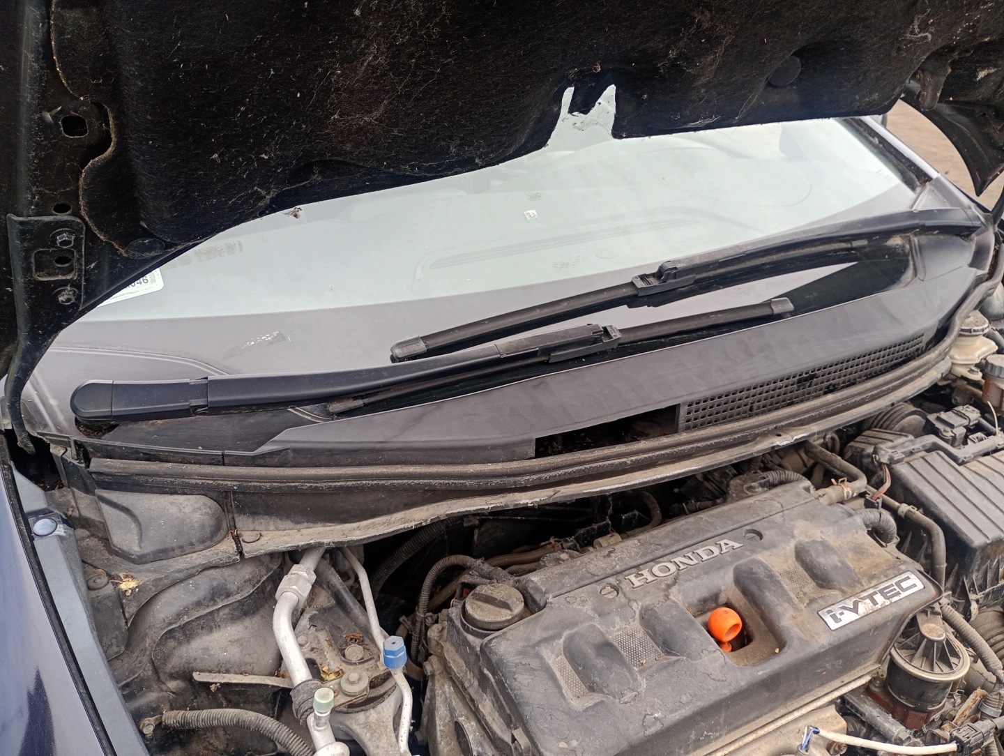 torpedo Honda Civic 8 VIII UFO 05-11