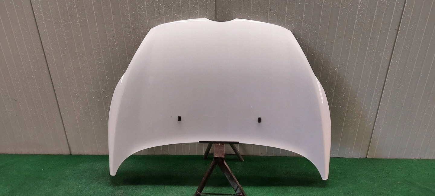 cofano FORD FIESTA MK7 08-13 LAK: H9
