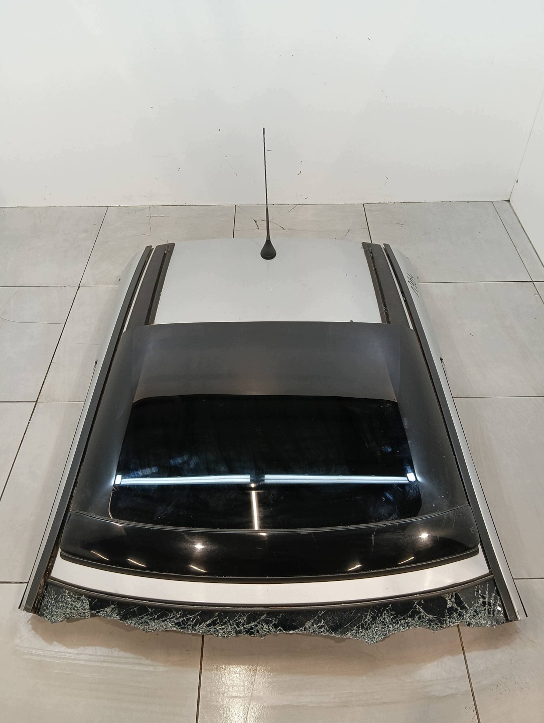 dach 3D schiebedach Peugeot 206 und (1998-2010)