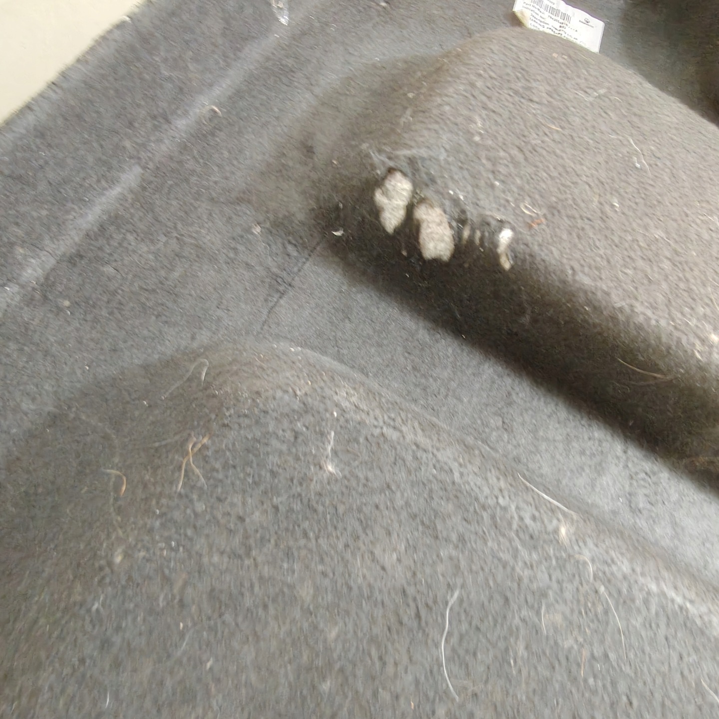 plato boot rear part DACIA SANDERO II 794205491R