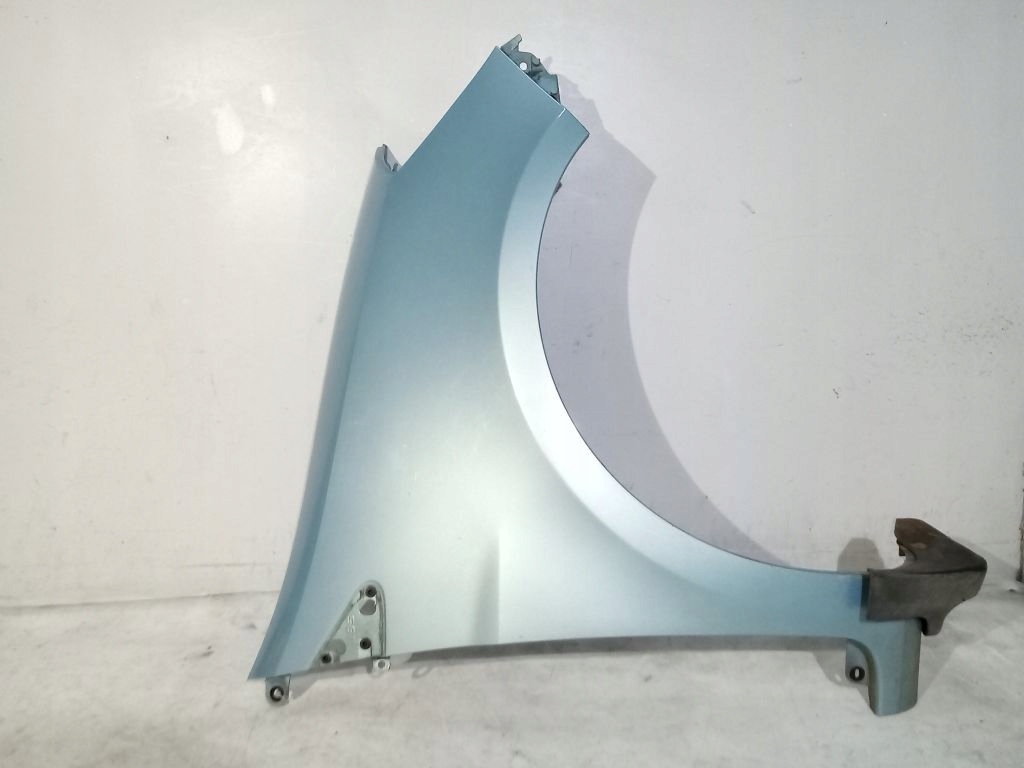 Renault Clio III fender right right side (185) TERNK