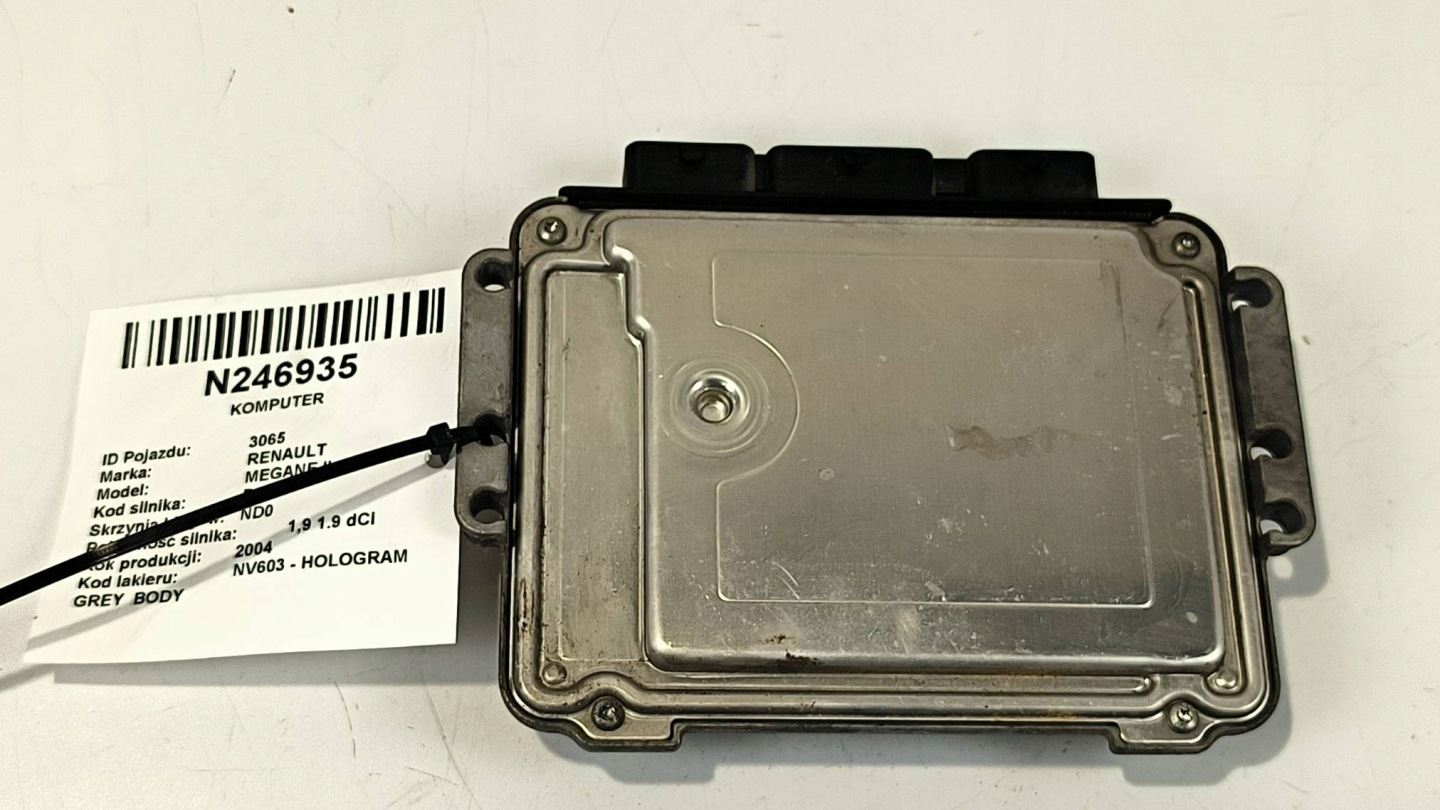 computer Motore ECU 8200391966 1.9 DCI RENAULT MEGANE II