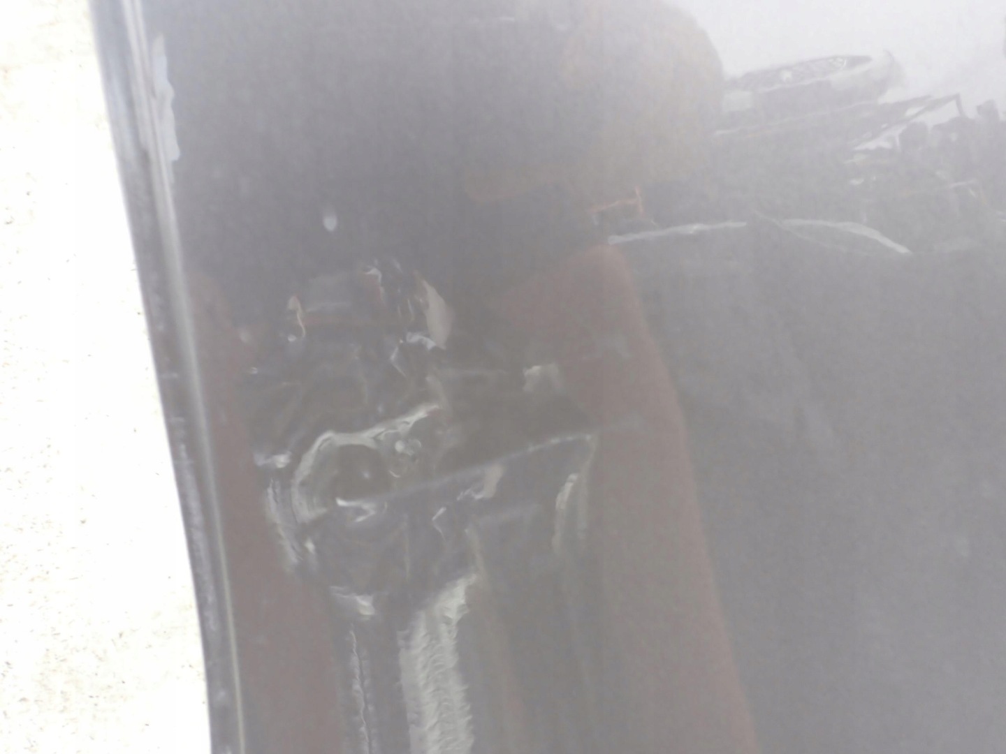 RENAULT SCENIC IV 16-> Tür links heck hinten