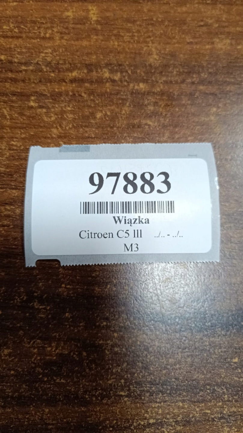CITROEN C5 III bundle door right front 9672952680