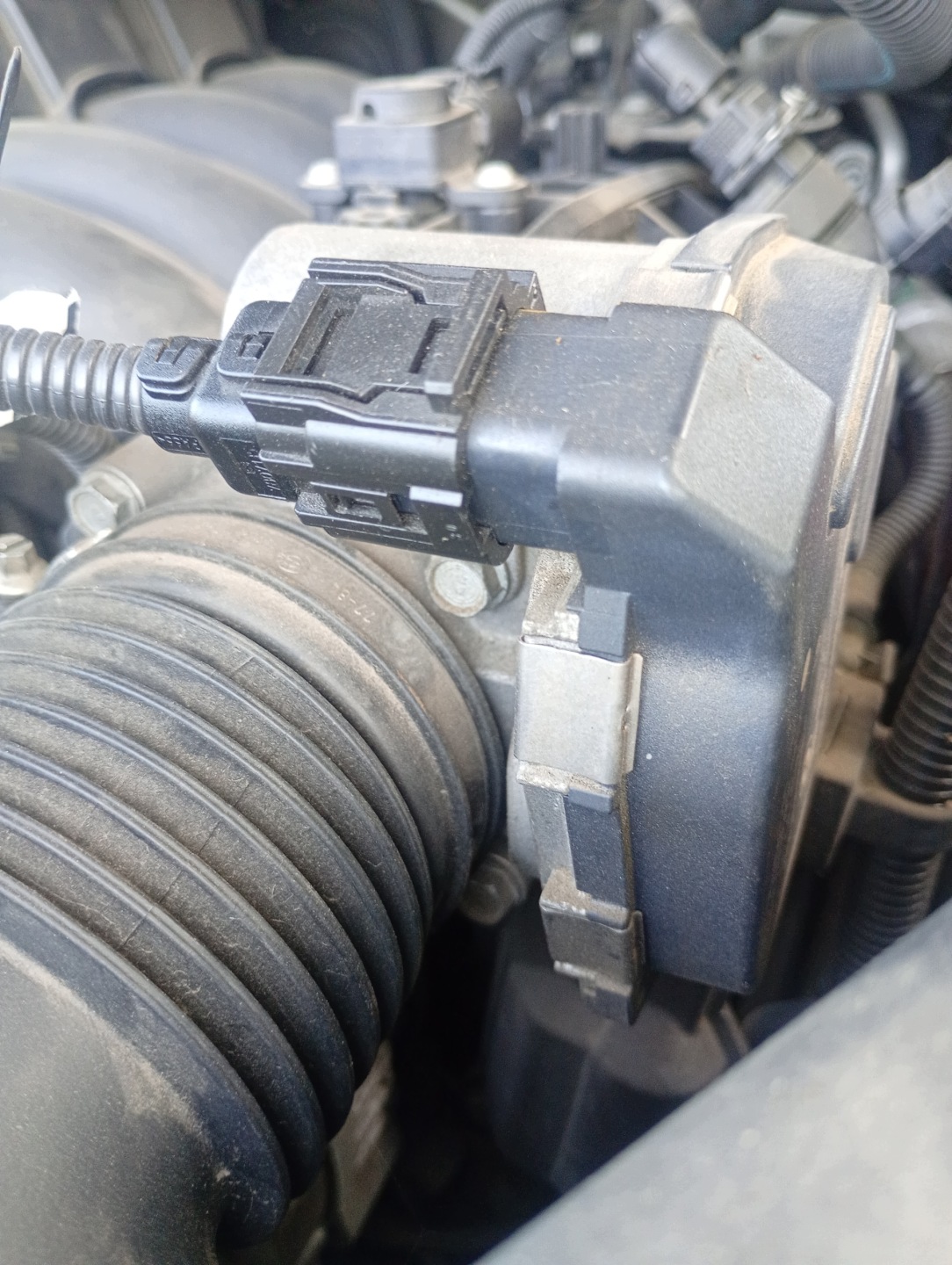 valvola a farfalla OE A2C53145951 BMW 1 e E81 07-11 1.6 16V