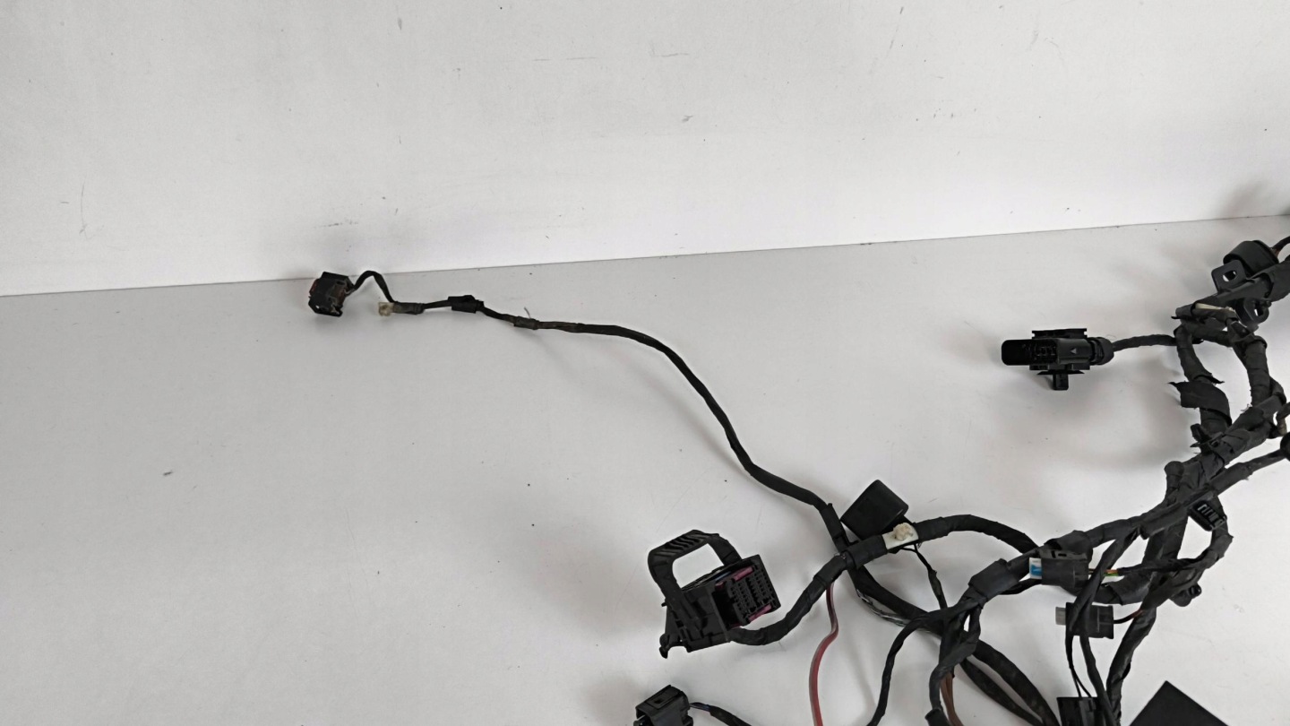 BMW 5 G30 G31 G38 bundle komory of the engine left 520d 2.0 wiring