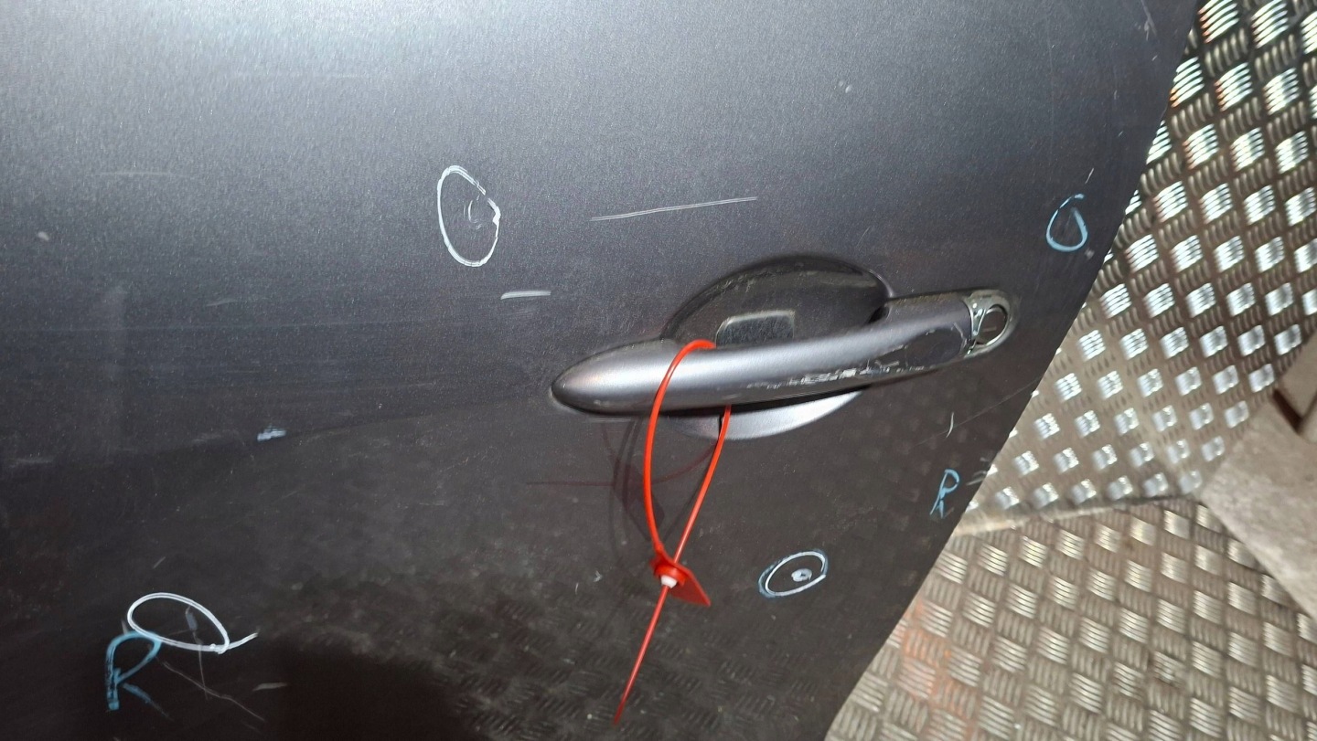 door left front RENAULT SCENIC III 2009
