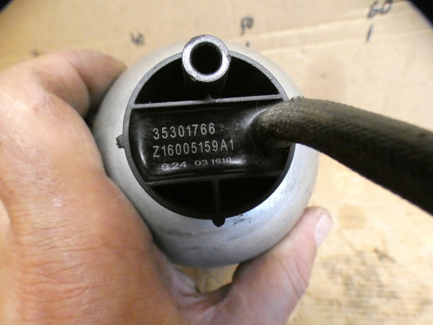 Halter filter des Kraftstoffsbehälters Z16005159A1