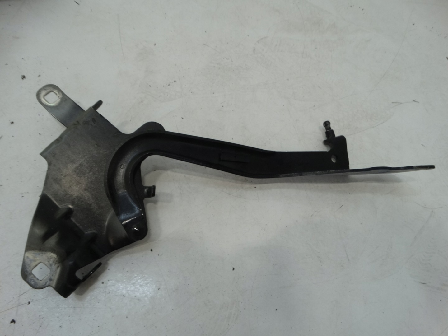 hinge bonnets right front RENAULT SCENIC III 654000004R--L