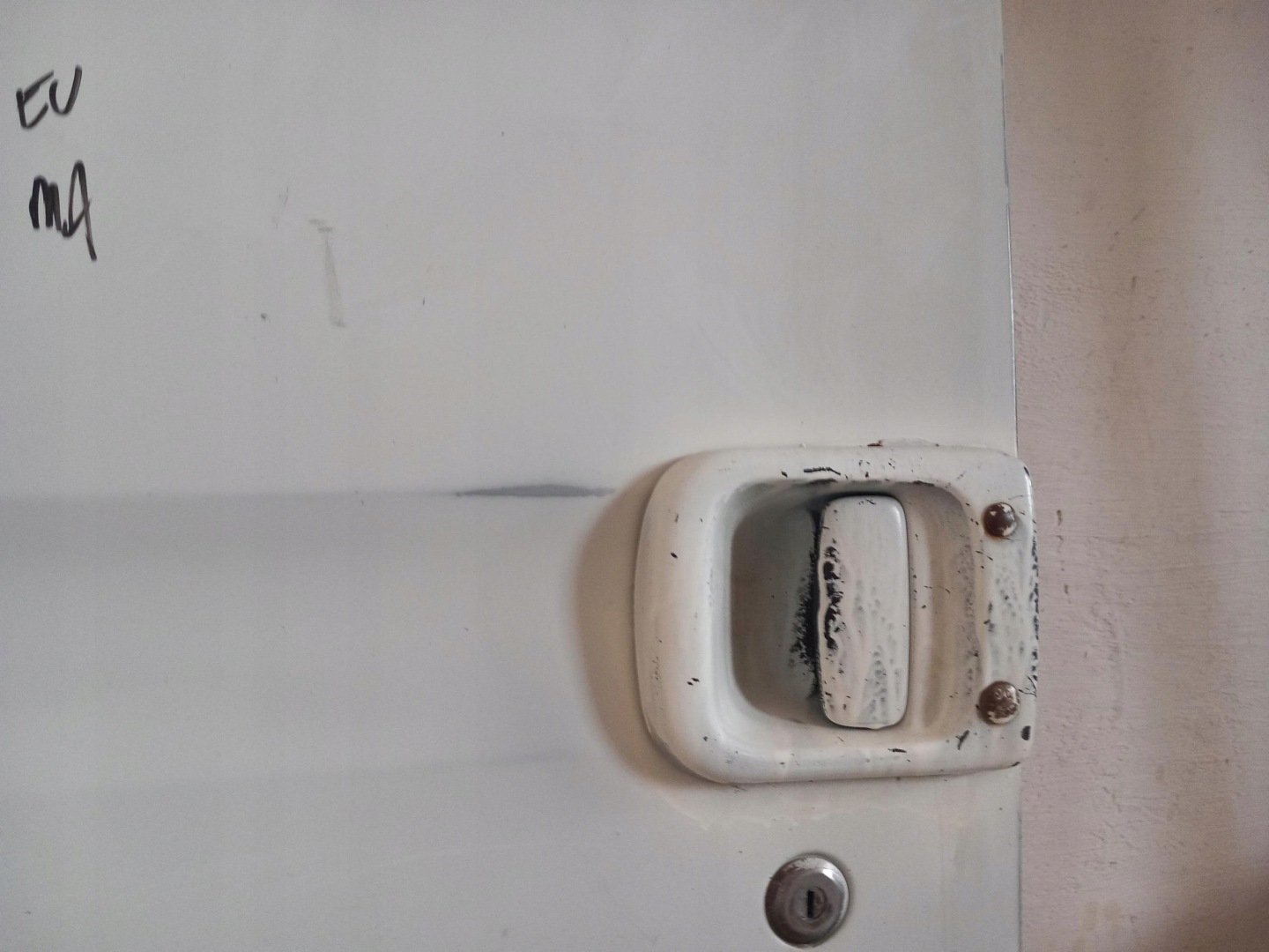 door left front complete RENAULT MASTER II 03-09
