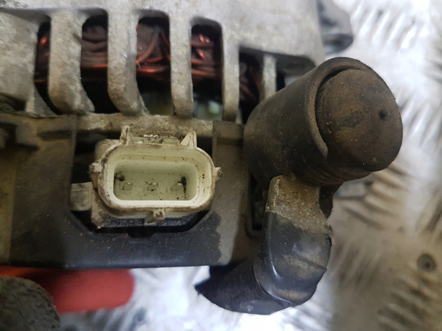 Alternateur FORD FOCUS MK2