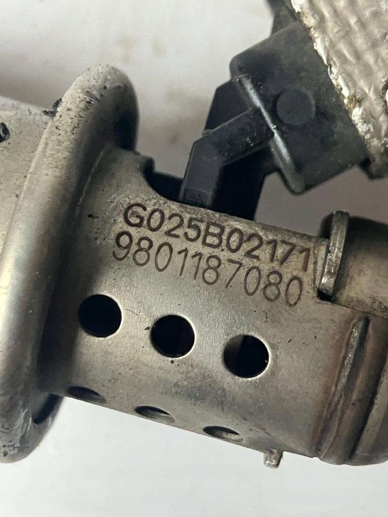 injector ADBLUE DS5 2.0 BLUE HDI 9801187080