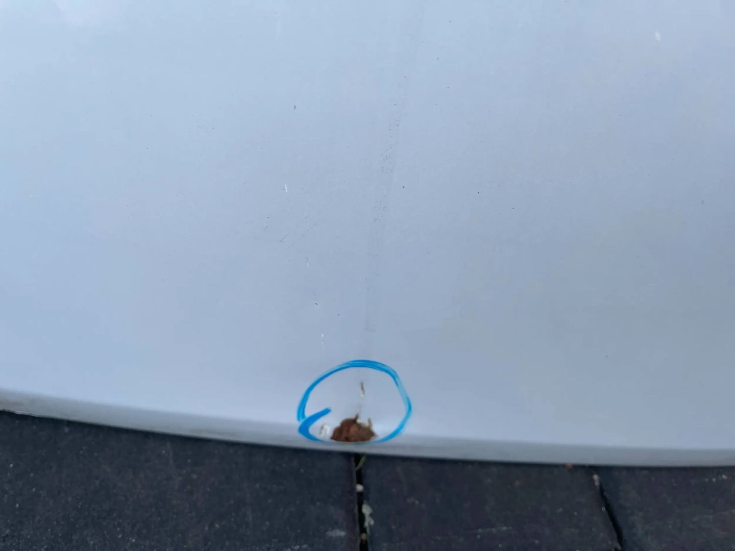 boot door rear boot Suzuki Swift MK7 IV 10
