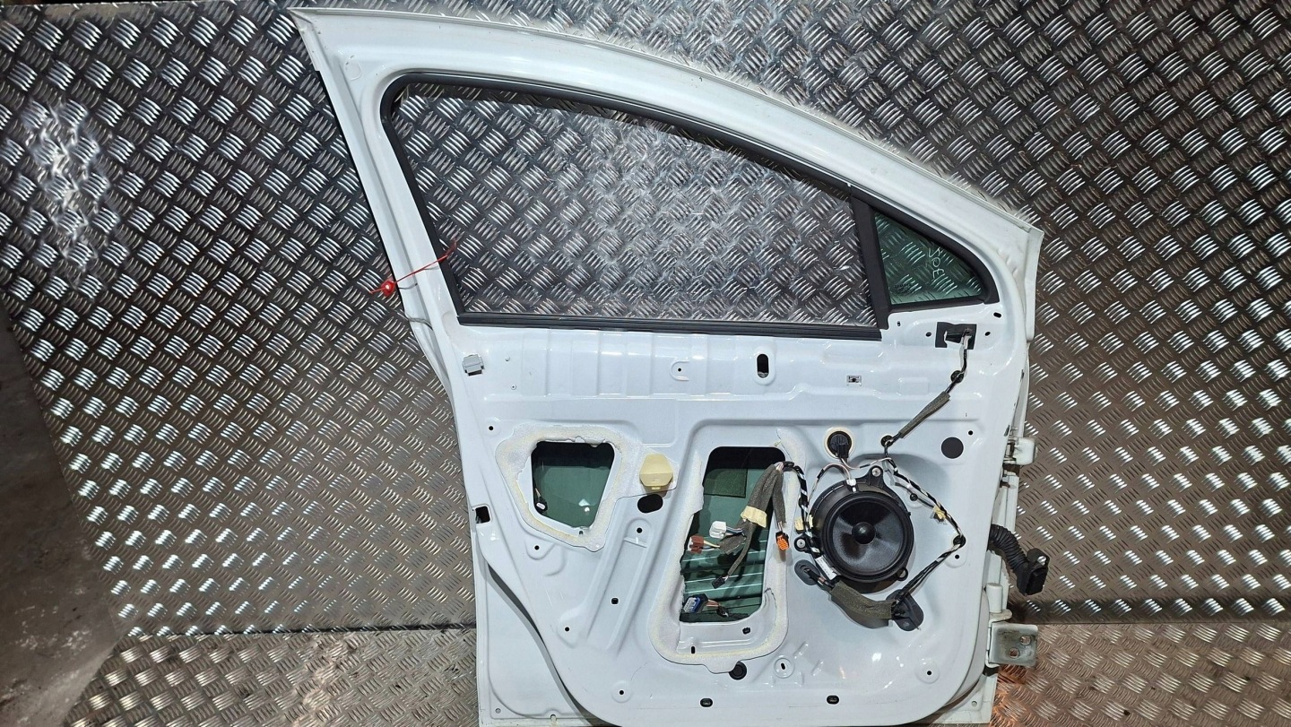 Tür vorne links RENAULT ZOE 2012