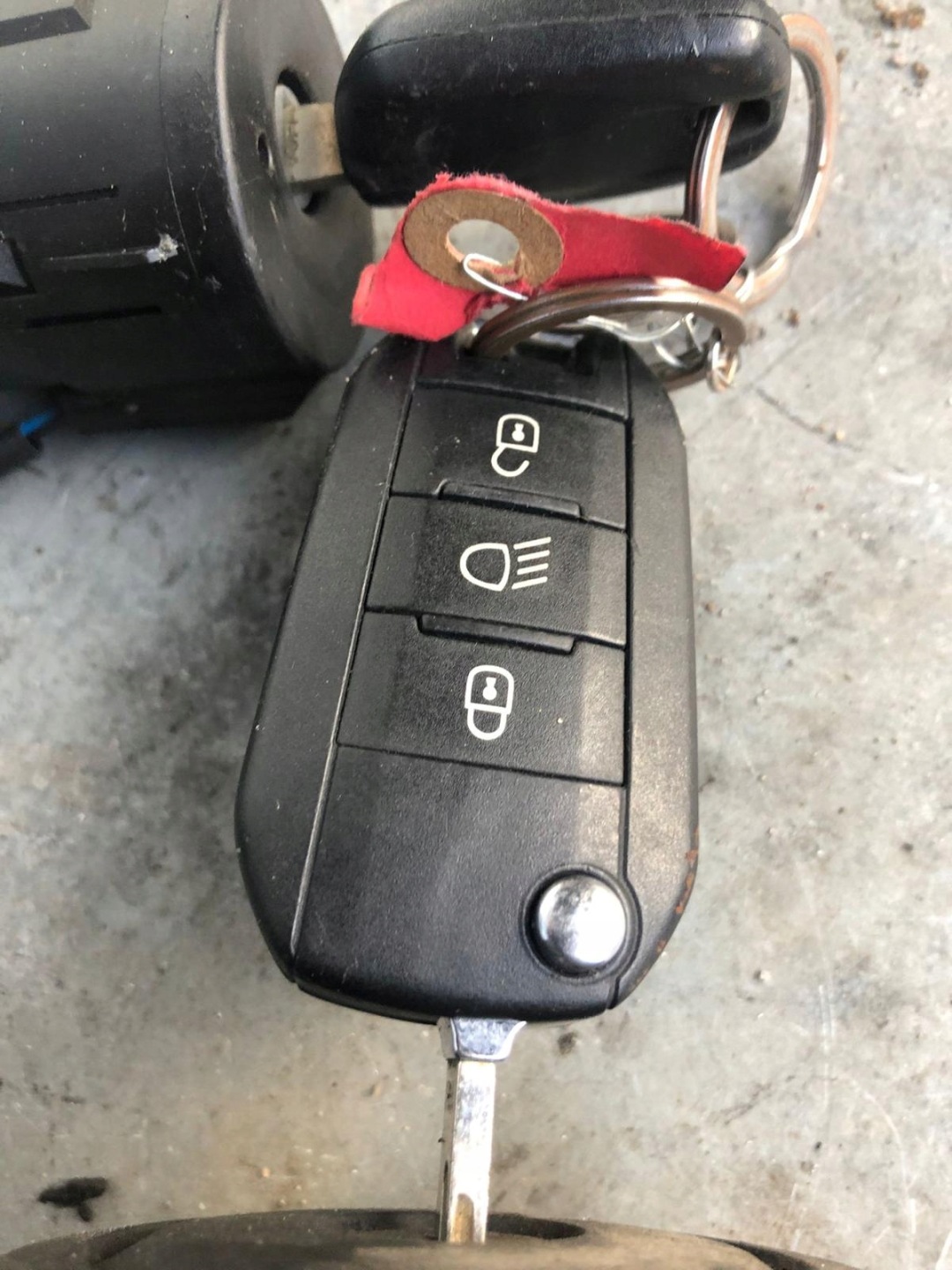 ignition 2X key WLEWKA 308 T9 36454600