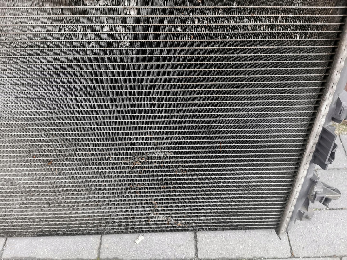 chladič ventilátor RENAULT LAGUNA II 1.9 DCI