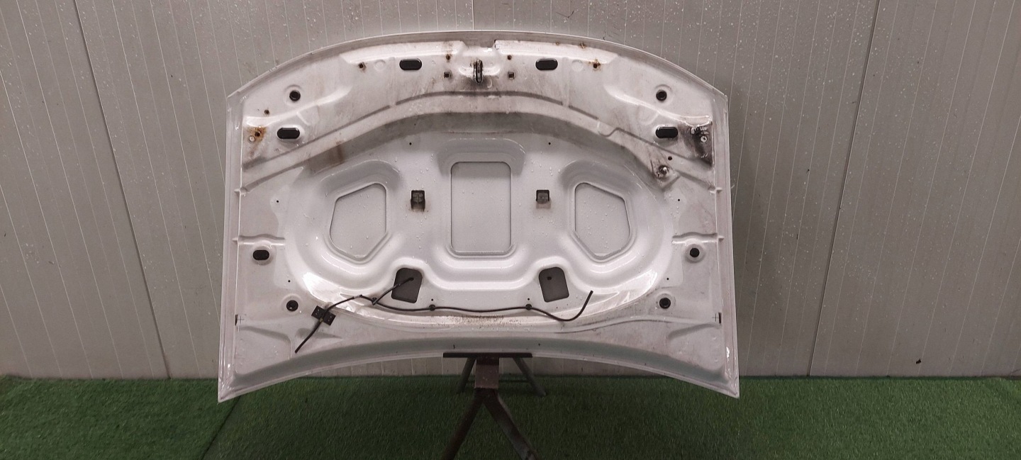 bonnet DACIA DUSTER 10-17 LAK: OD34 / 0D34