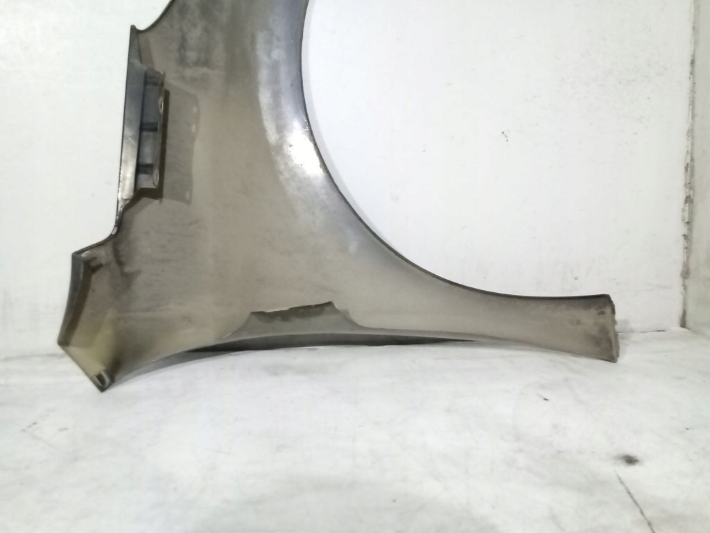 Peugeot 207 fender left