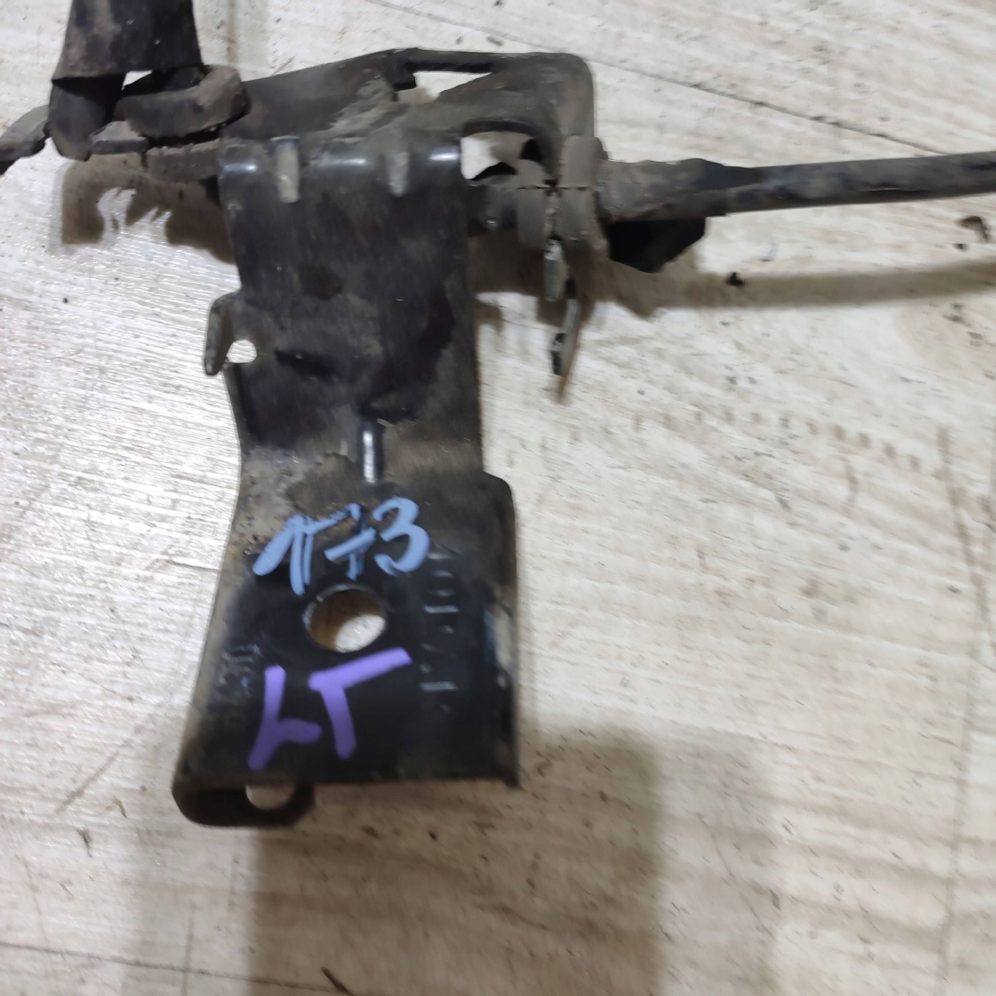 bundle of the sensor ABS rear part rear part side left Fiat 500X 00519999400