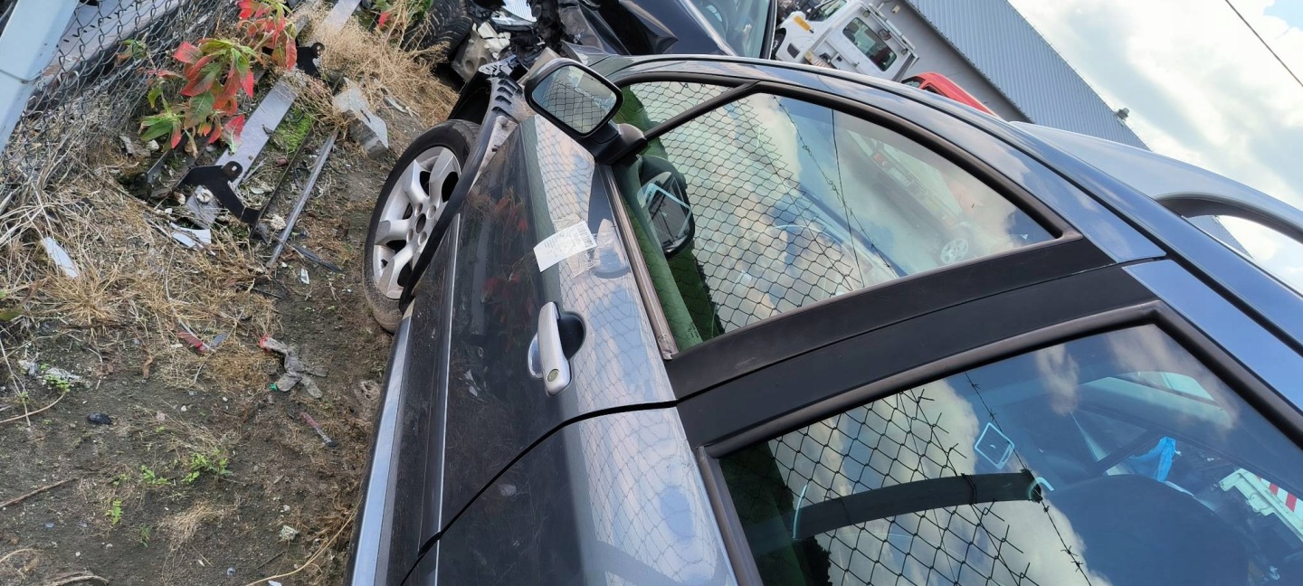 door left front EZW PEUGEOT 307