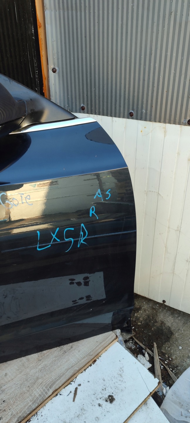 door right front Audi A5 S5 8T8 Sportback LX5R