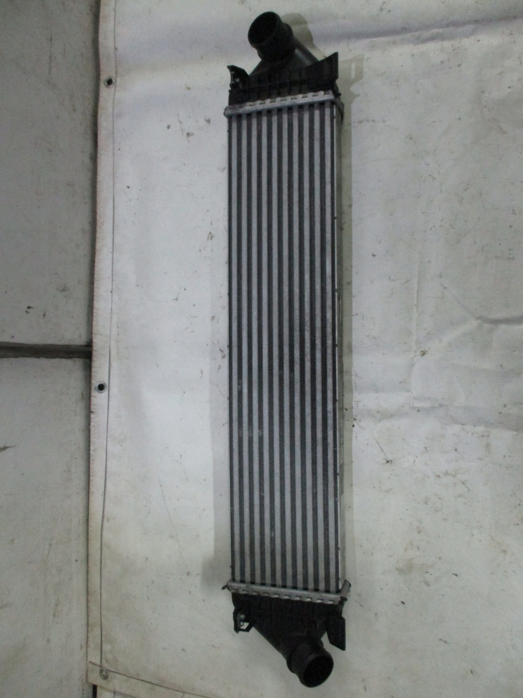 Kühler intercooler Ford C-MAX Focus MK3 8V61-9L440-AC