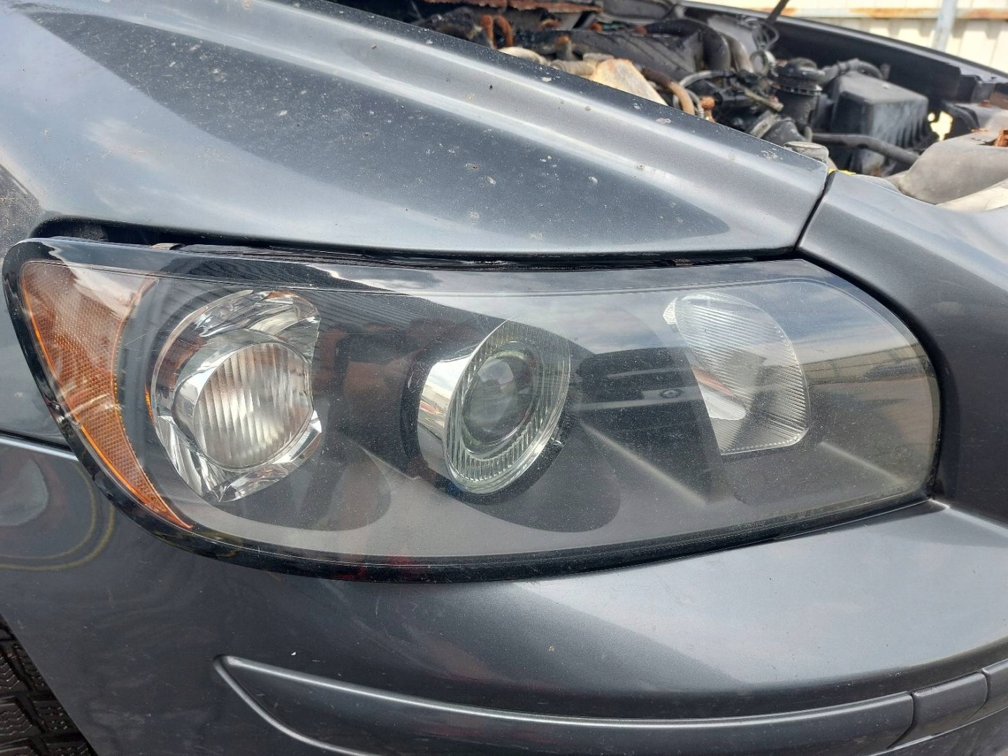 light right front VOLVO S40 II V50 and 31213185