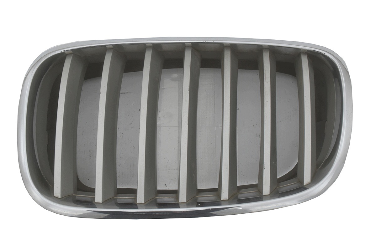 maska maska bubreg lijeva BMW X6 E71 X5 E70 7171395