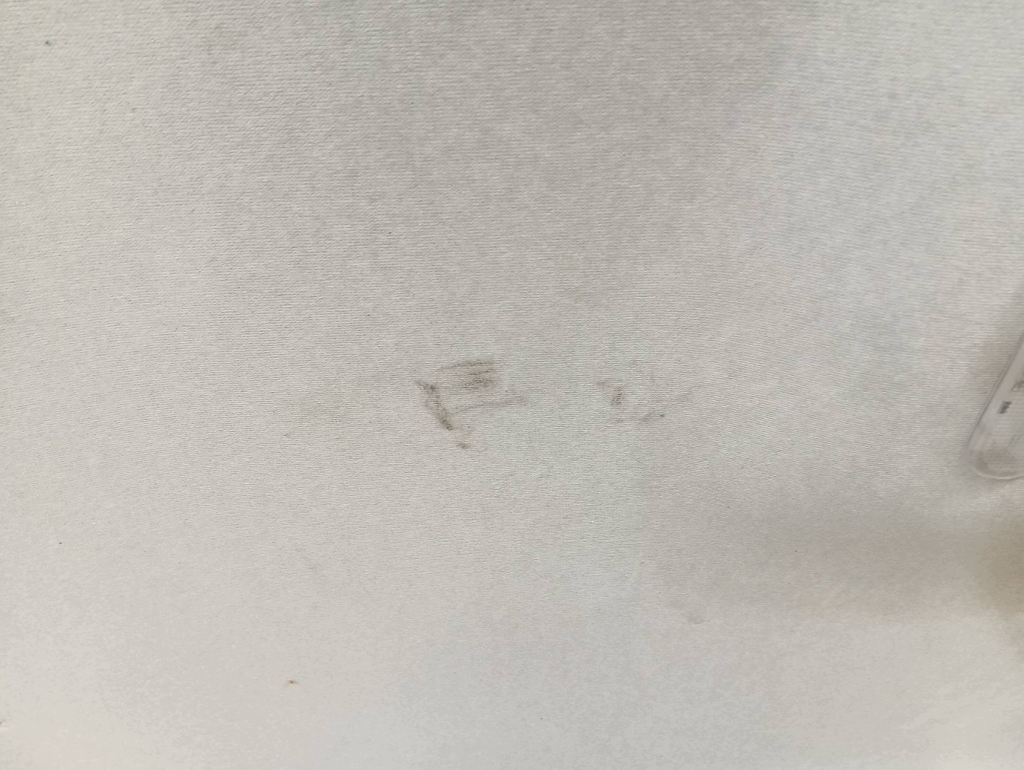 cielo interno PODBITKA SUFIT STEPWAY Dacia Lodgy e (2012- )