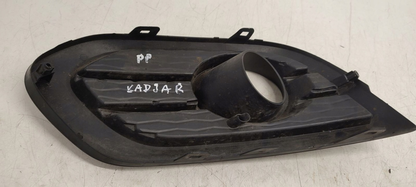 grid of a bumper right Renault Kadjar