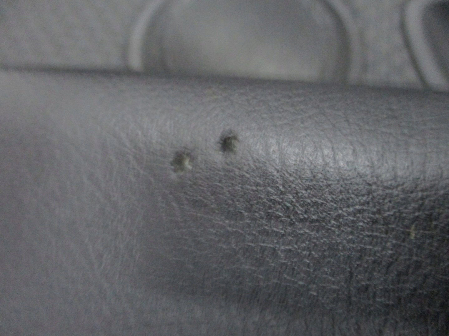 upholstery upholstery side door BMW 2 F45
