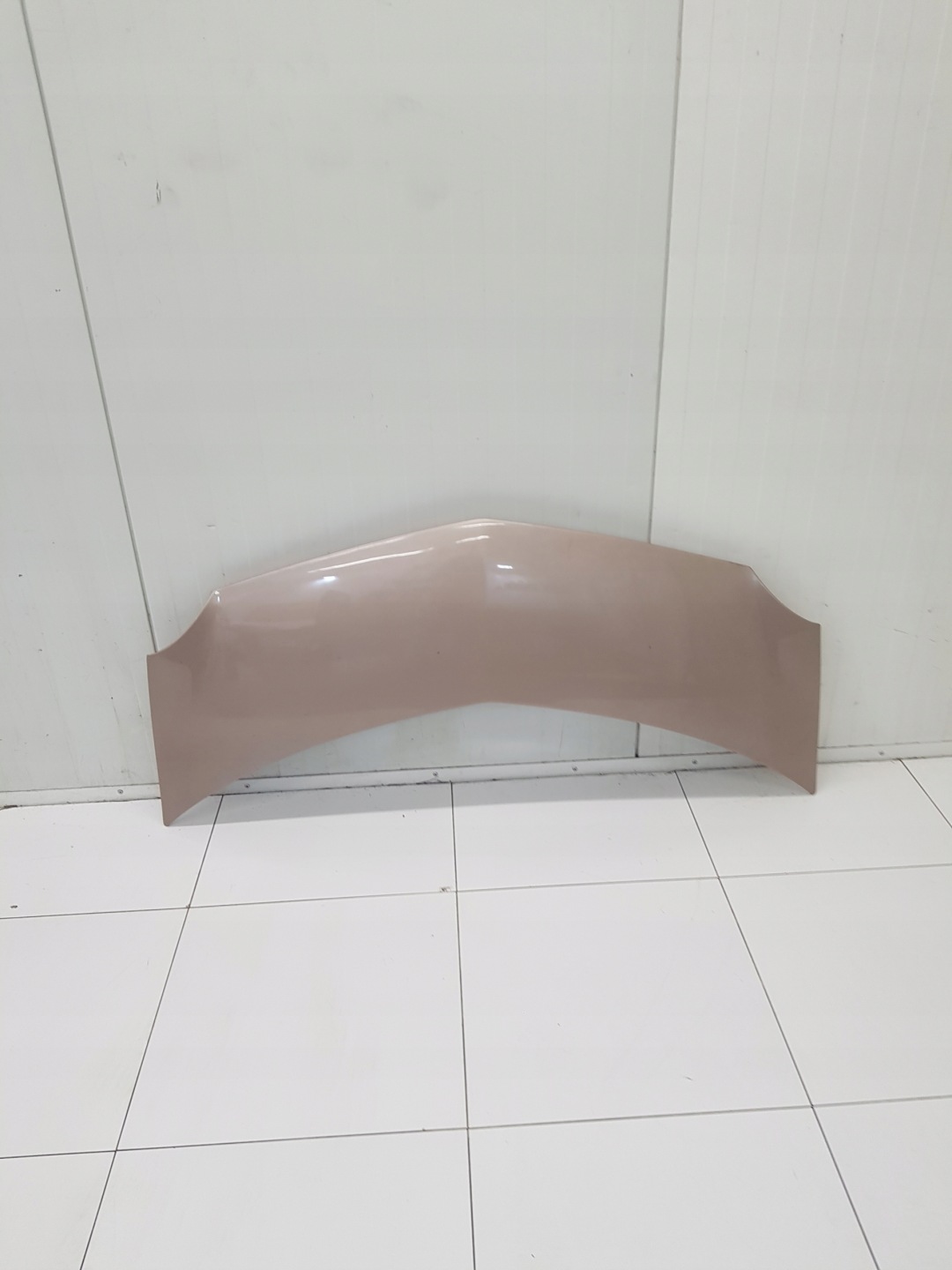 motorhaube RENAULT MODUS