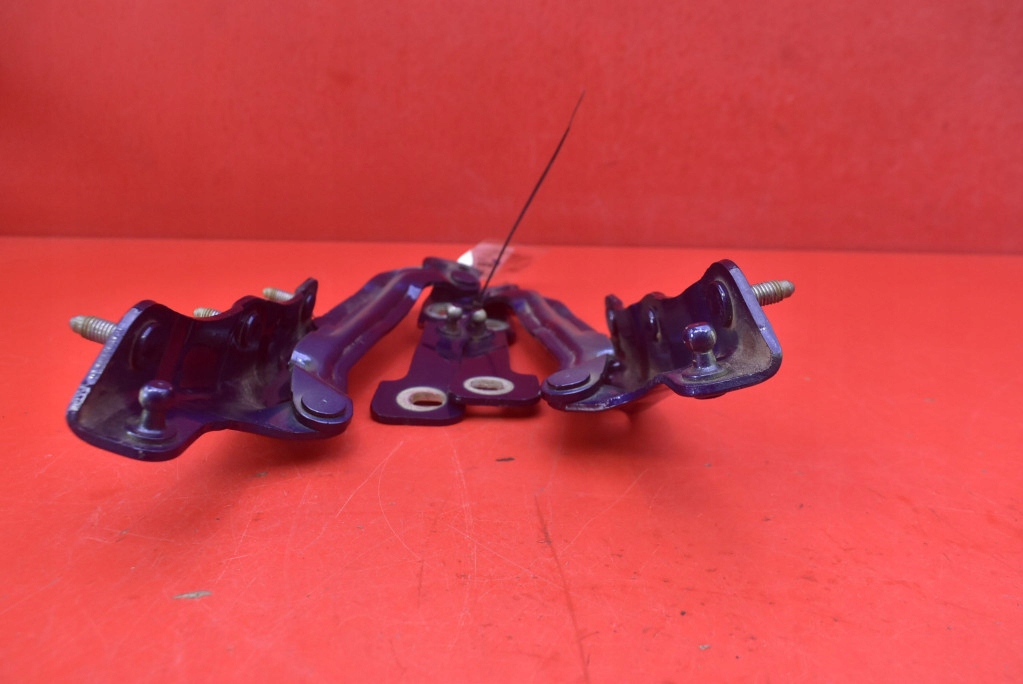 hinge hinges bonnet 1092820-00-E 1092820-00-E TESLA MODEL 3 17-21