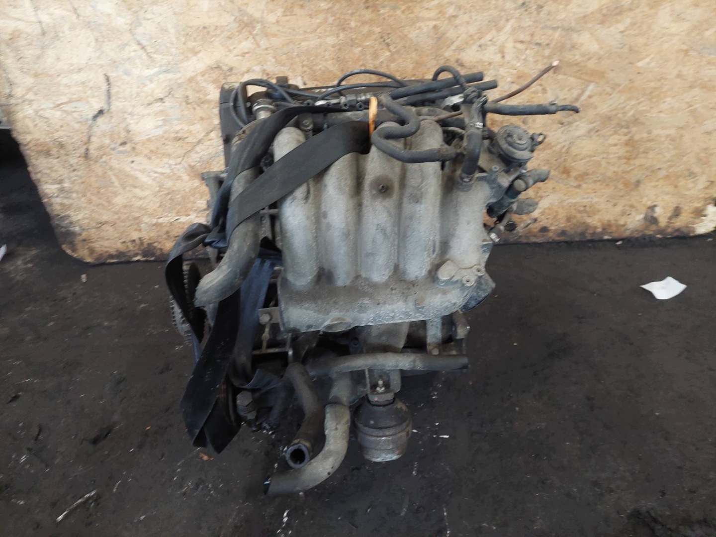 engine petrol VOLKSWAGEN PASSAT B5 ADP 1.6 8V ID: 232499