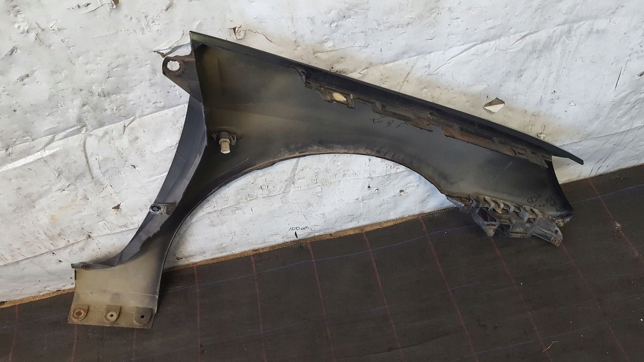 fender left front front EXLD Peugeot 307 2,0
