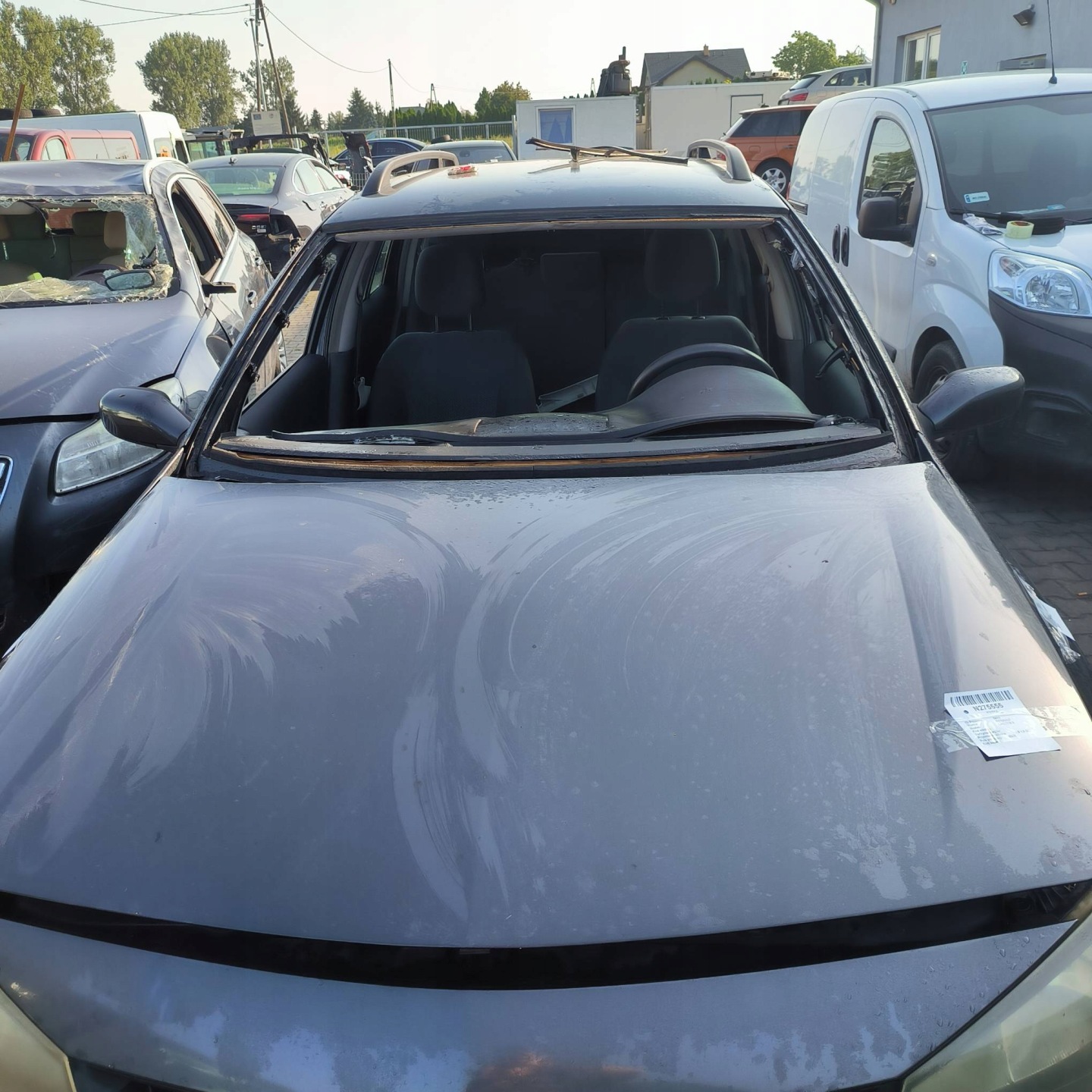 cofano TEB66 RENAULT LAGUNA II