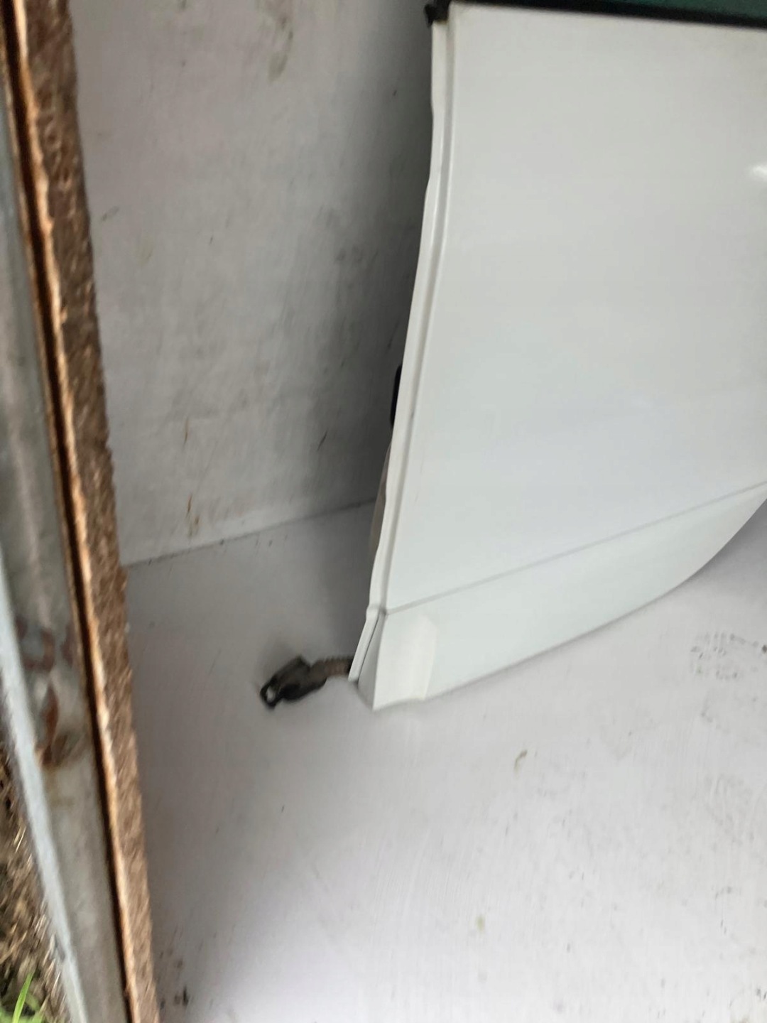 Tür links heck RENAULT SCENIC III DV369