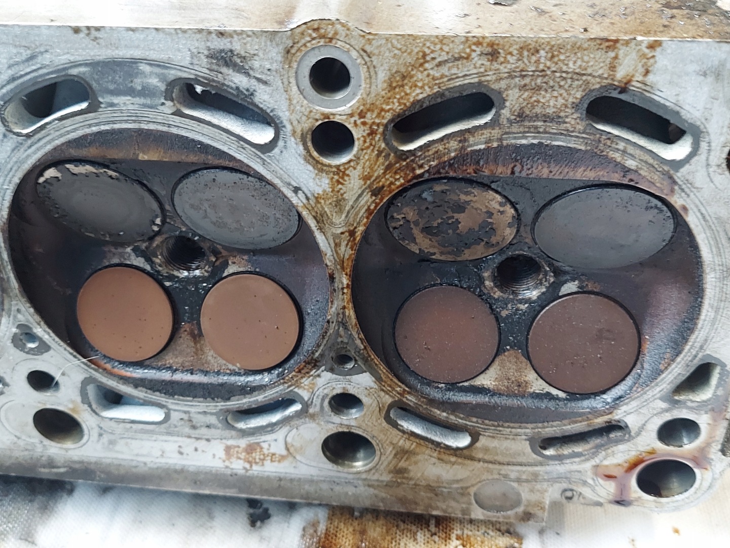 TESTATA BMW 840i 4.4 V8 1702381,1702377