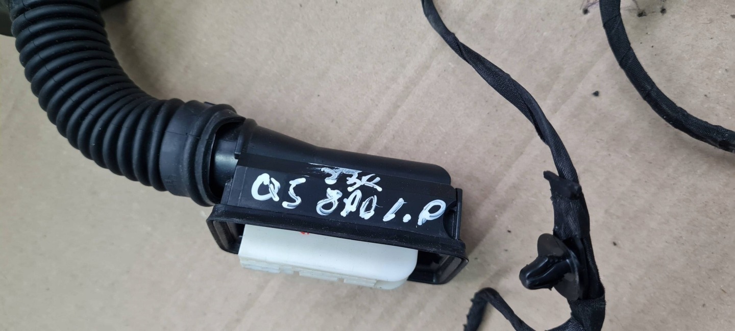 Q5 80A SQ5 bundle wiring door left left front 80A971029E