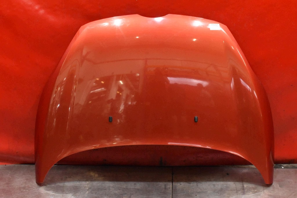 Cofano CEGLASTA FORD FIESTA MK7 08-17