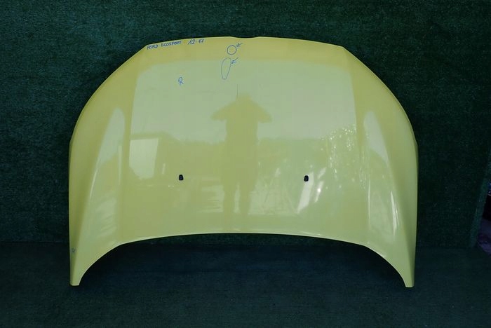 FORD ECOSPORT 12-17 bonnet