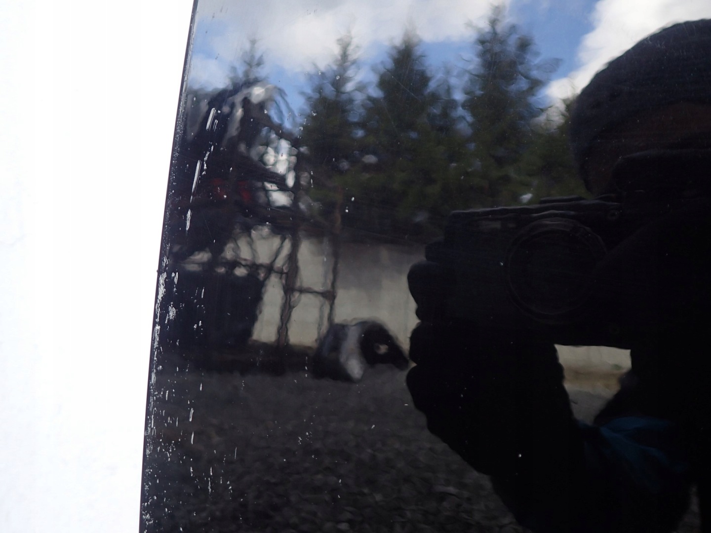 door left rear. left rear part MINI COUNTRYMAN F60
